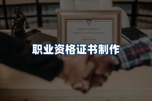 职业资格展示
